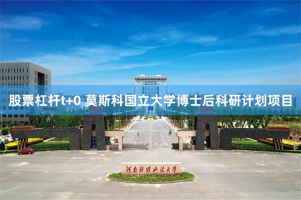 股票杠杆t+0 莫斯科国立大学博士后科研计划项目