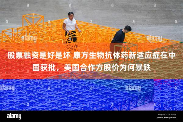 股票融资是好是坏 康方生物抗体药新适应症在中国获批，美国合作方股价为何暴跌