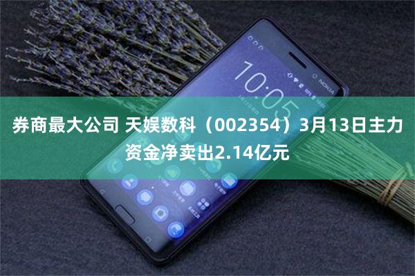 券商最大公司 天娱数科（002354）3月13日主力资金净卖出2.14亿元
