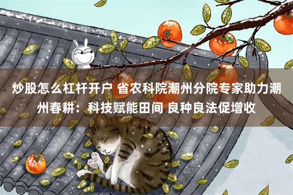 炒股怎么杠杆开户 省农科院潮州分院专家助力潮州春耕：科技赋能田间 良种良法促增收