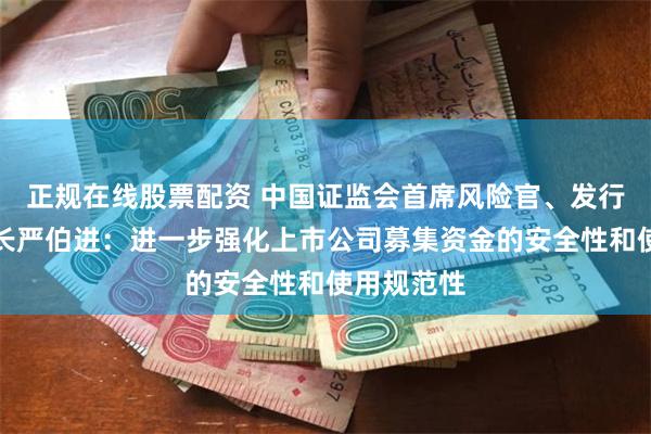 正规在线股票配资 中国证监会首席风险官、发行监管司司长严伯进：进一步强化上市公司募集资金的安全性和使用规范性