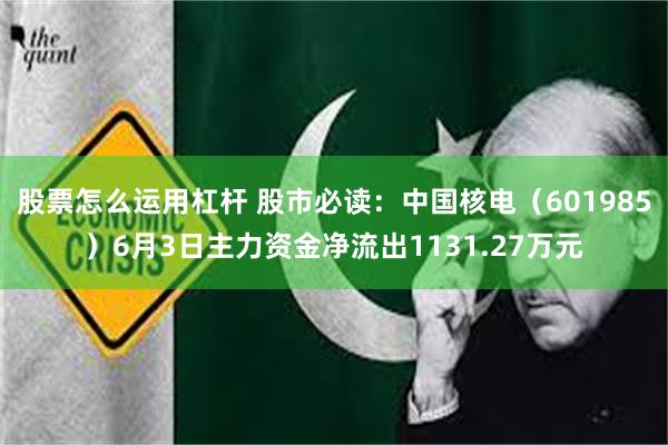 股票怎么运用杠杆 股市必读：中国核电（601985）6月3日主力资金净流出1131.27万元