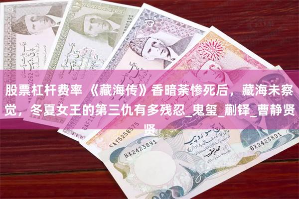 股票杠杆费率 《藏海传》香暗荼惨死后，藏海未察觉，冬夏女王的第三仇有多残忍_鬼玺_蒯铎_曹静贤