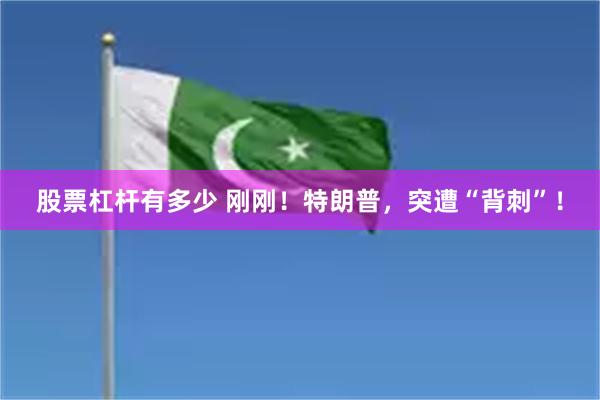 股票杠杆有多少 刚刚！特朗普，突遭“背刺”！