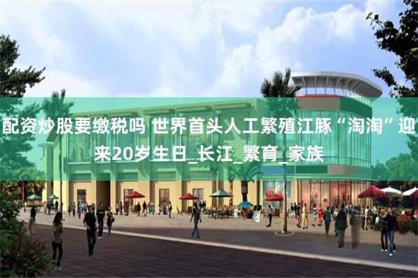 配资炒股要缴税吗 世界首头人工繁殖江豚“淘淘”迎来20岁生日_长江_繁育_家族